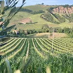 Camponovo