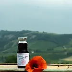 Camponovo *