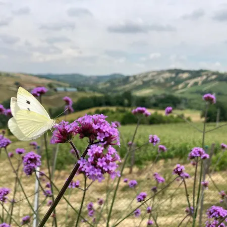 Camponovo Farm stay *
