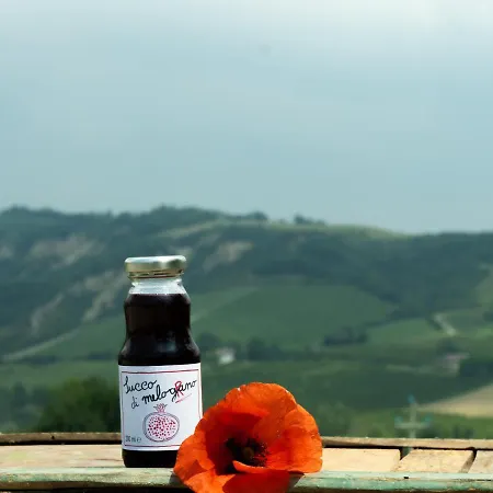 Camponovo *