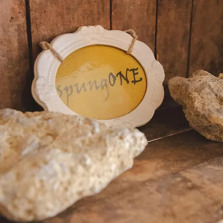 Camponovo Farm stay