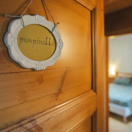 Camponovo Farm stay *
