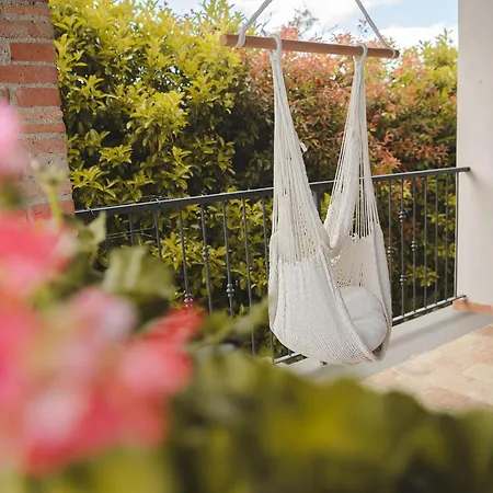 Camponovo Brisighella