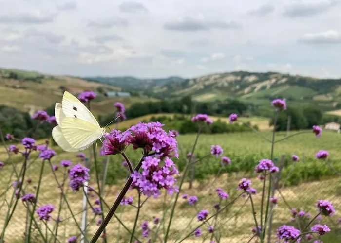 Camponovo Farm stay *