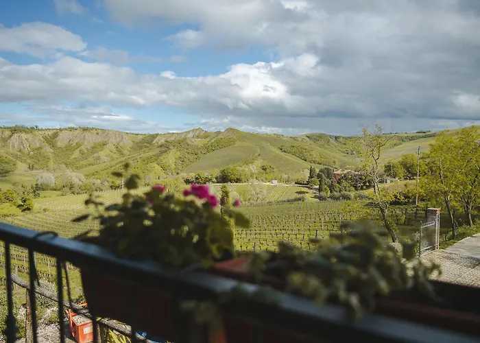 Camponovo Brisighella